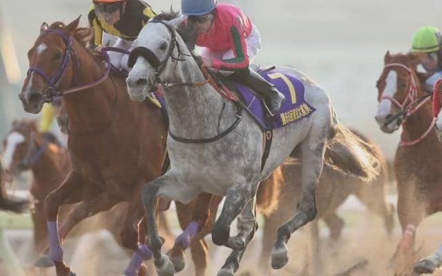 【川崎記念 予想オッズ】東京大賞典3連覇オメガパフュームに断然の支持