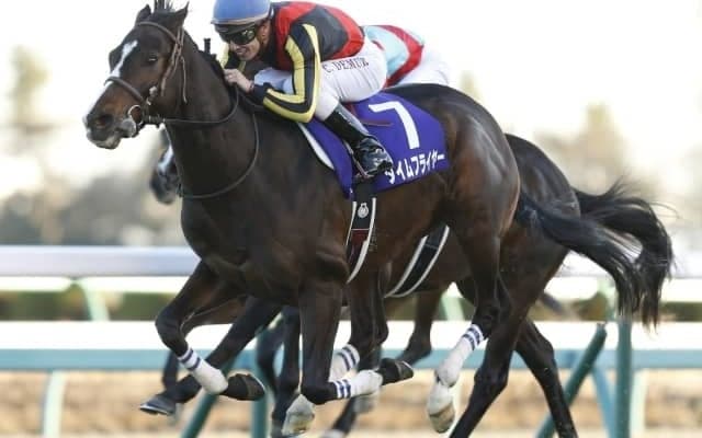【根岸S展望】フェブラリーSの前哨戦、あの馬の巻き返しを期待