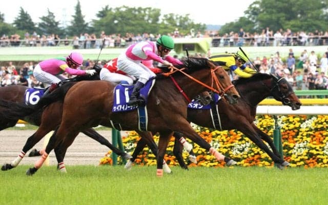 ケイアイノーテックが競走馬登録抹消