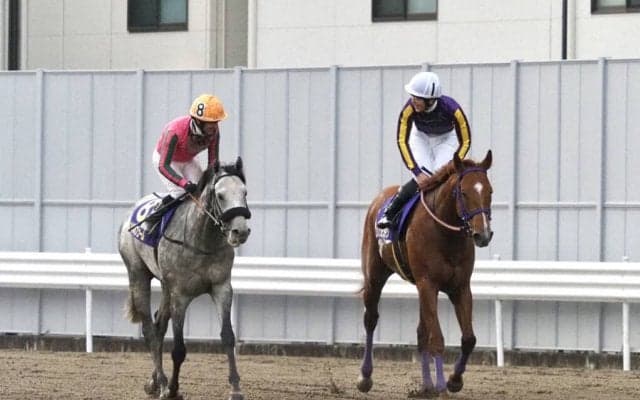 【川崎記念】デムーロ「反応良くなかった」レース後ジョッキーコメント