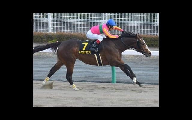 根岸Ｓで新ダートの名馬は現れるか。期待はコース適正◎の２頭