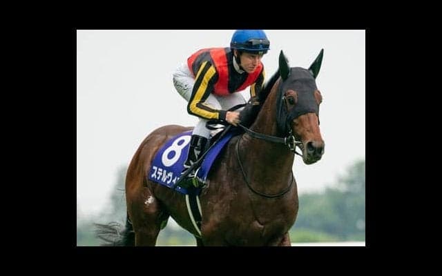 多彩なメンバーが集結した根岸Ｓ。一発を期待するなら初ダートのＧＩ馬