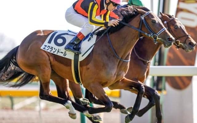 【東京6R新馬戦結果】フィエールマンの全妹エクランドールがV