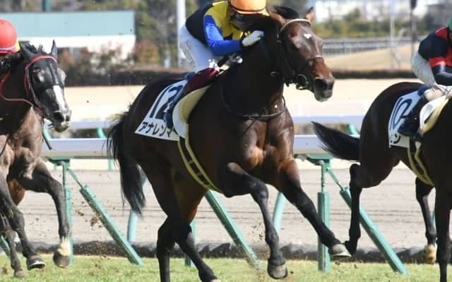【中京6R新馬戦結果】アナレンマが人気に応えて完勝