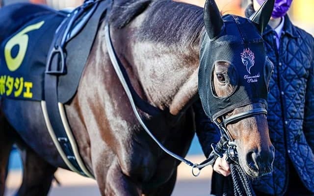 【次走】ポタジェは金鯱賞を視野に、白富士Sで4連勝