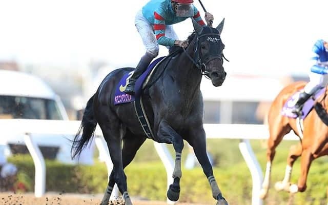 【根岸S予想】攻略のカギはローテ？ 距離経験？ 上がり？ 例年の傾向が通用しない一戦で狙いたいのは!?/JRAレース展望