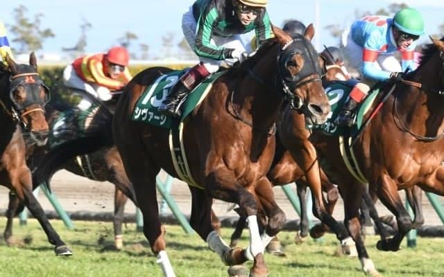 【シルクロードS結果】シヴァージが差し切り重賞初制覇