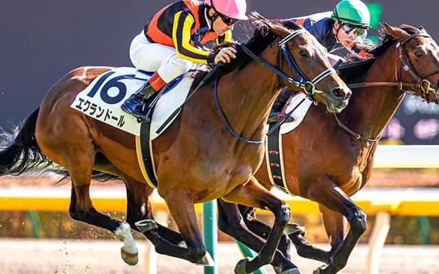 【JRA】日曜東京芝は全5レースでディープインパクト産駒が勝利