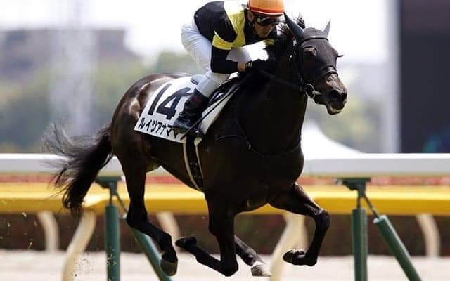 【JRA】ルイジアナママが予後不良の診断、東京12Rで競走中止