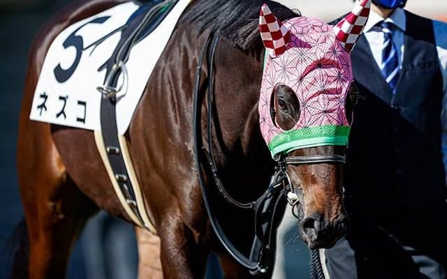 【JRA】“鬼滅の刃”彷彿のメンコでネズコがデビュー、初戦は8着