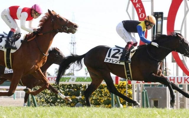 【新馬/中京6R】ディープ産駒 アナレンマがデビュー勝ち