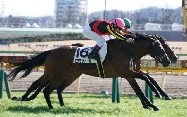 【新馬/東京6R】フィエールマン全妹、エクランドールがデビューV