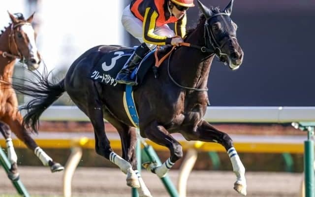 デビュー2連勝の良血グレートマジシャンは毎日杯へ　大目標は日本ダービーに