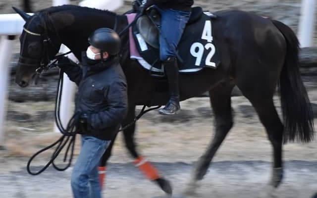 シャフリヤール、共同通信杯1週前追い切り速報/栗東トレセンニュース