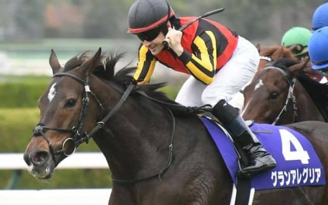 【次走】昨年の最優秀短距離馬グランアレグリアが大阪杯へ