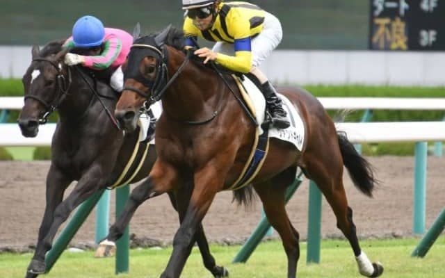 【東京新聞杯】ヴァンドギャルド　福永祐一騎手とのコンビで重賞2勝目を狙う