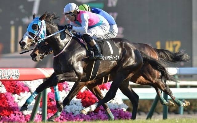 【東京新聞杯展望】出世に繋がるマイル重賞、あの馬の巻き返しに期待