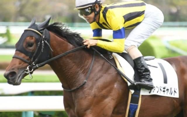 【東京新聞杯】ヴァンドギャルドは福永祐一騎手、トリプルエースはルメール騎手/想定騎手