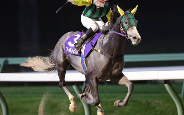 岩手の年度代表馬はフレッチャビアンカに！ ダービーグランプリなどを制覇