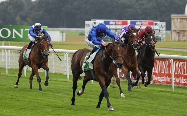 【海外競馬】サウジ招待競走選出の騎手3名が新たに発表、藤田菜七子騎手も出場予定