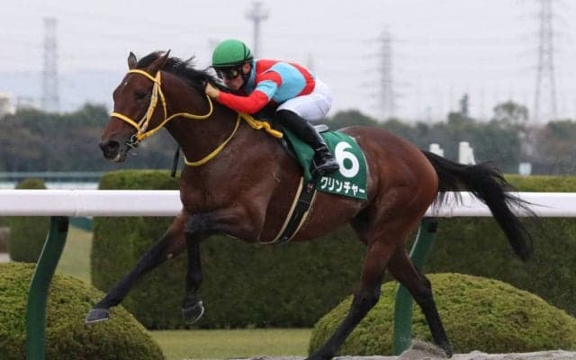 【佐賀記念】JRA出走予定馬