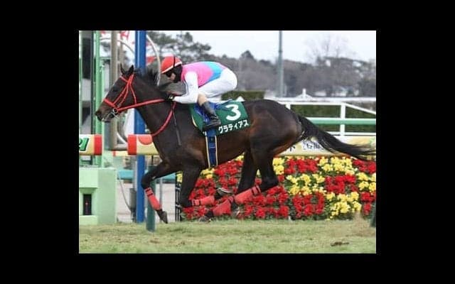 「これは走る」と陣営。レシステンシアの弟グラティアスがクラシックへ