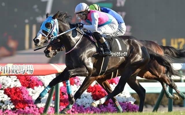 【東京新聞杯 予想】得意舞台のシャドウディーヴァに期待