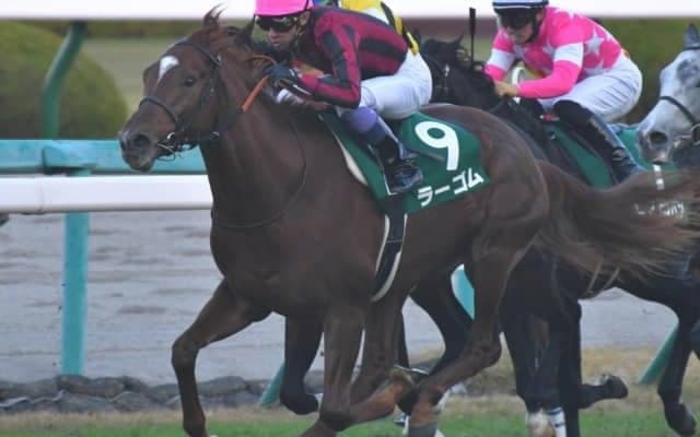 【きさらぎ賞予想】長く良い脚を使うラーゴムに期待
