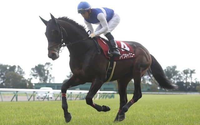 【本日の注目ポイント】東京で東京新聞杯、中京できさらぎ賞