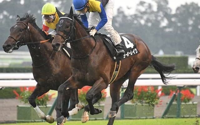【きさらぎ賞予想】今年は順当な結果に終わりそう!? 攻略のポイントはズバリ「スローペース」と「外差し」！/JRAレース展望
