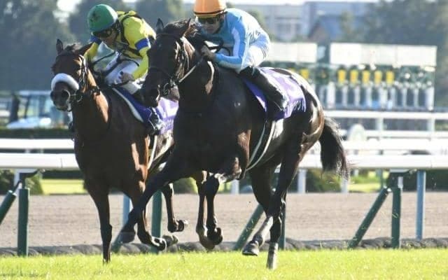 三冠牝馬デアリングタクトが香港G1・クイーンエリザベス2世Cに予備登録
