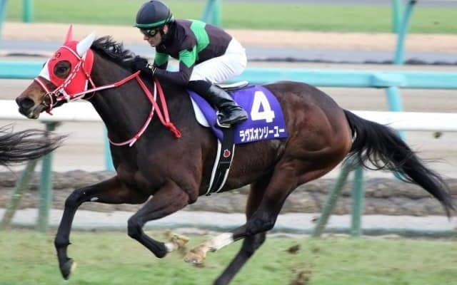 今週末から阪神開催 重賞は京都記念＆共同通信杯＆クイーンC/今週の競馬界の見どころ