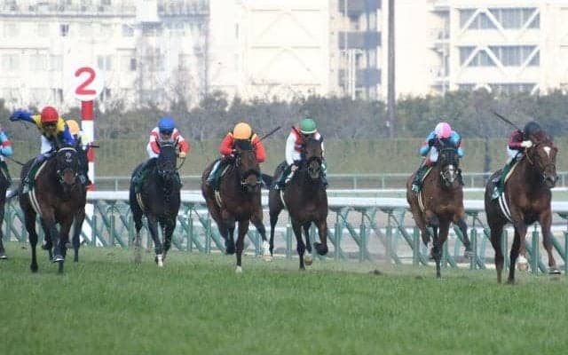 【勝負の分かれ目 きさらぎ賞】活力あふれる走りでラーゴムが重賞初制覇