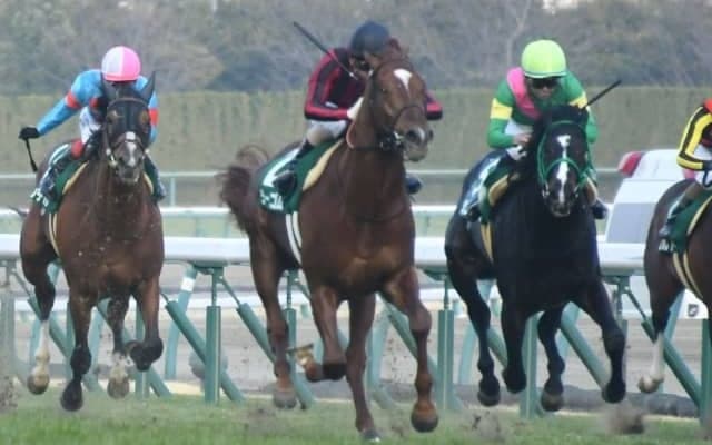 【きさらぎ賞結果】ラーゴムが好位から抜け出し重賞初制覇