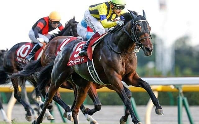 【東京新聞杯・馬体重】ヴァンドギャルドは478kg(+4)、トリプルエースは506kg(+2)