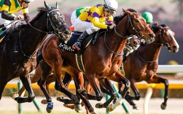 【ゆりかもめ賞結果】紅一点パープルレディーが追い比べを制す