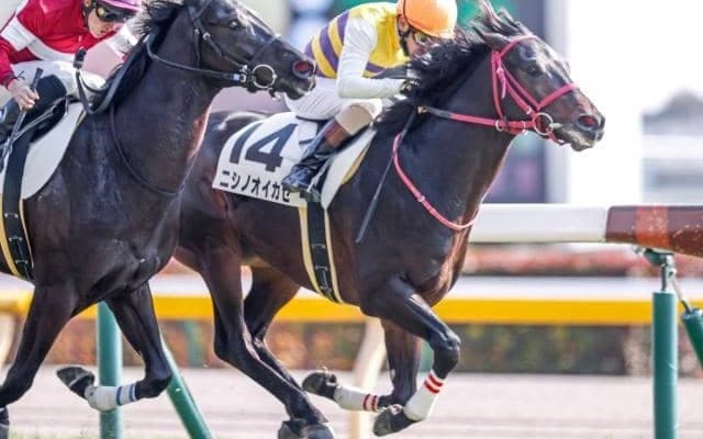 【東京6R新馬戦結果】単勝178.4倍、13番人気のニシノオイカゼがV