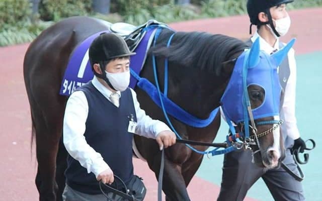 【フェブラリーS】タイムフライヤーは態勢整わず回避