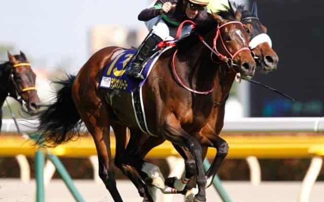 【京都記念見どころ】オークス馬ラヴズオンリーユーが巻き返しを狙う
