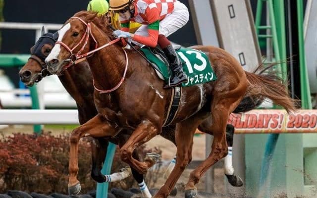 【海外競馬】ジャスティンはサウジからドバイへ転戦、鞍上は坂井瑠星騎手