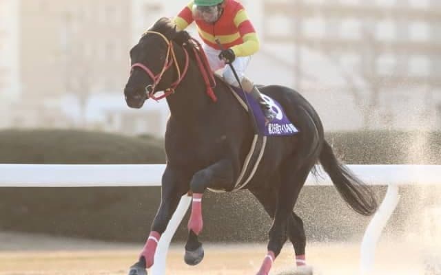 【梅見月杯】重賞20勝のカツゲキキトキトは1枠1番、南関東のスギノグローアップは5枠5番