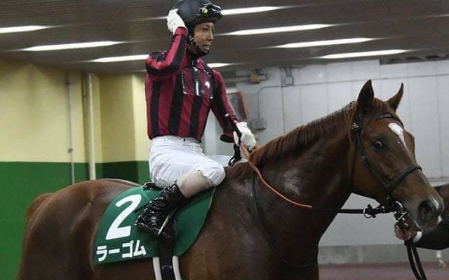 【きさらぎ賞回顧】ラーゴム　これからの活躍に注目のオルフェーヴル産駒/栗山求コラム