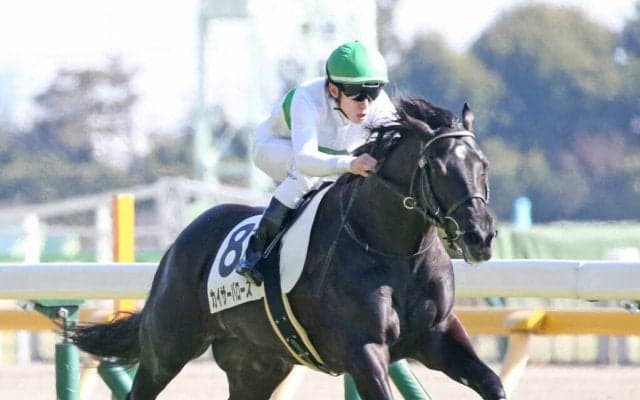 【新馬/東京6R】ディープインパクト産駒 カイザーバローズがデビューV