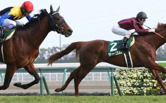 【きさらぎ賞】ラーゴムが重賞初制覇！
