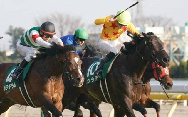 【東京新聞杯】カラテが抜け出す！人馬ともに重賞初制覇