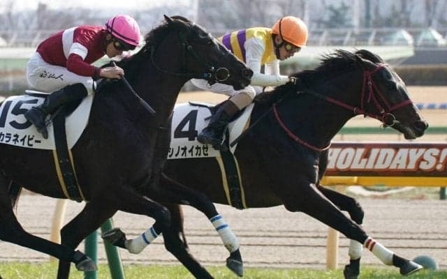 【新馬/東京6R】単勝178倍超！伏兵ニシノオイカゼがVで波乱