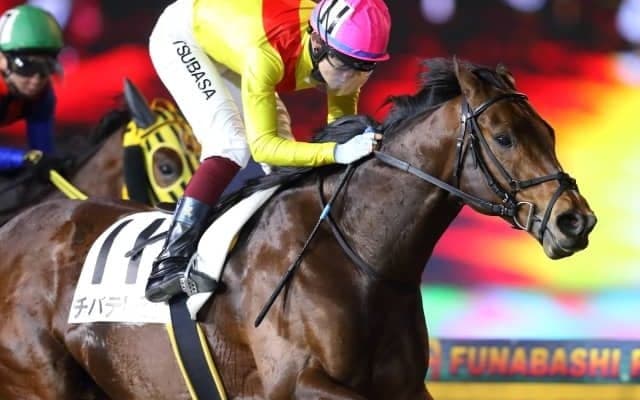 【報知グランプリC】地方初V挙げたコズミックフォースは7枠12番、DG2勝のサルサディオーネは5枠8番