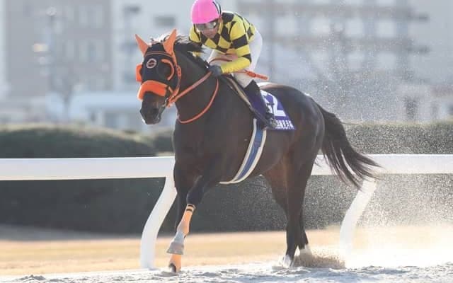 【名古屋・梅見月杯結果】ノーブルサターンが圧勝で重賞初制覇