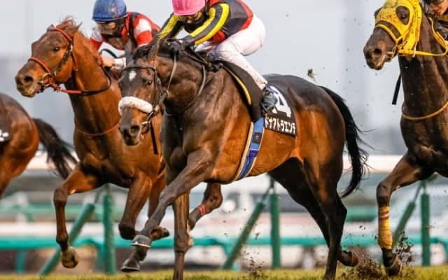 【次走】ドナアトラエンテは中山牝馬Sへ　前走でオープン入りのジェンティルドンナ全妹