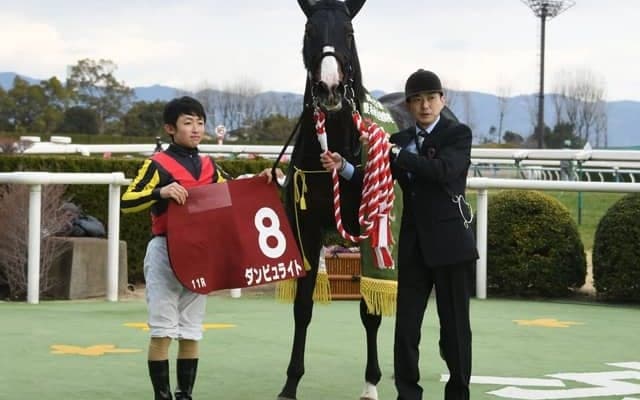 【京都記念展望】今年は阪神で行われるGIへのステップレース